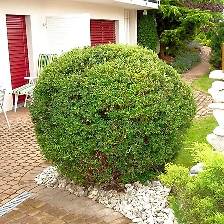 Lenggenhager Plantzette 3* Sierre