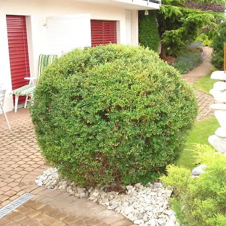 Lenggenhager Plantzette Panzió
